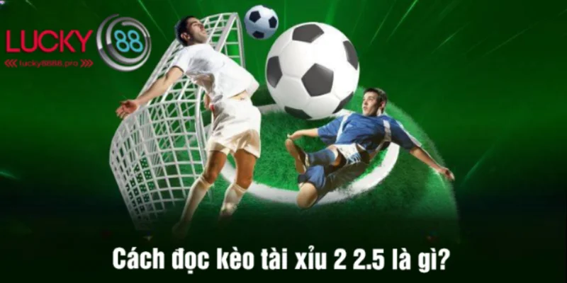 Cách đọc kèo tài xỉu 2 2.5 là gì không quá khó cho tân thủ