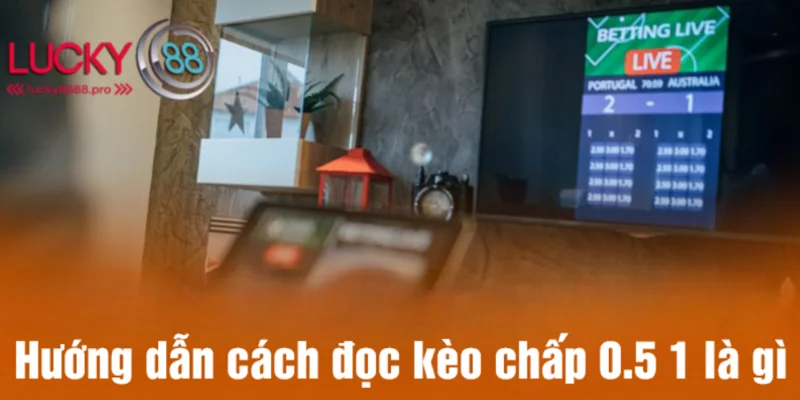 Kèo chấp 0.5 1 là gì có 3 trường hợp riêng biệt