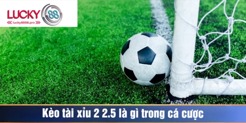 Thể loại xuất hiện tại nhiều trận đấu trên thế giới