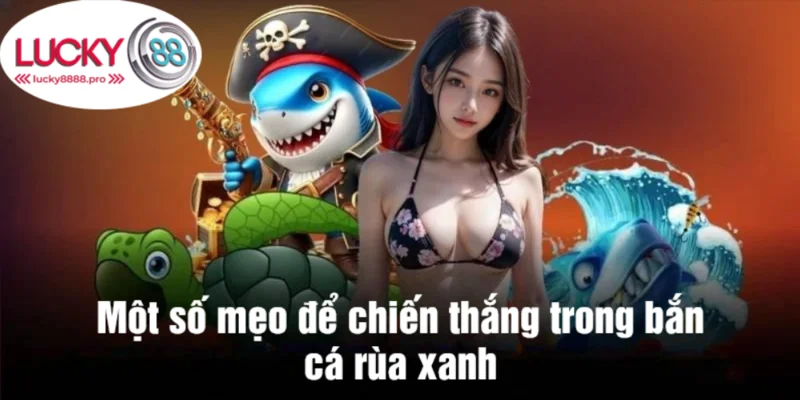 Mẹo để tham gia bắn cá rùa xanh hiệu quả nhất