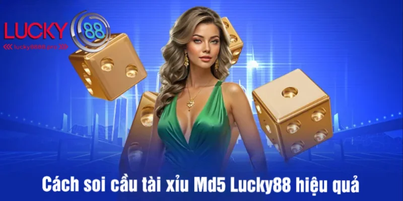 Một vài cách soi cầu tài xỉu MD5 Lucky88 đỉnh cao nhất