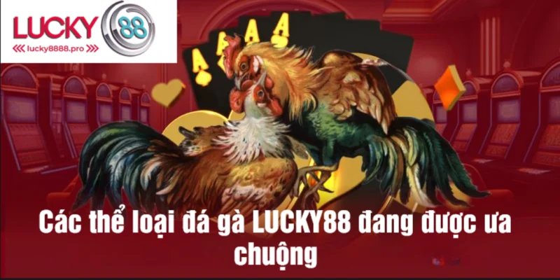 Nhiều hình thi đấu khác nhau để phục nhu cầu từ người chơi