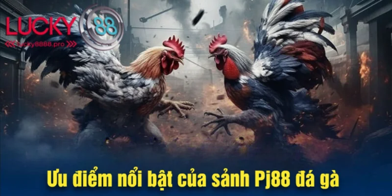 Rất nhiều yếu tố nổi bật khi hội viên đến sảnh này