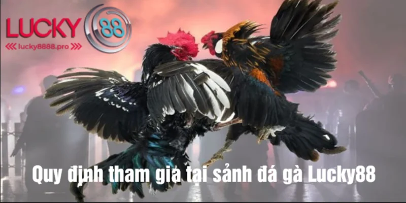 Hội viên cần nắm rõ quy định khi tham gia cược đá gà Lucky88