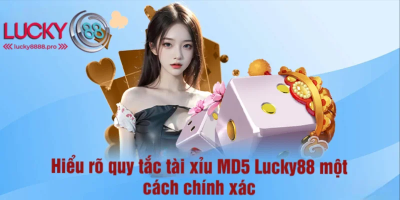 Quy tắc tài xỉu MD5 Lucky 88 hội viên cần nắm