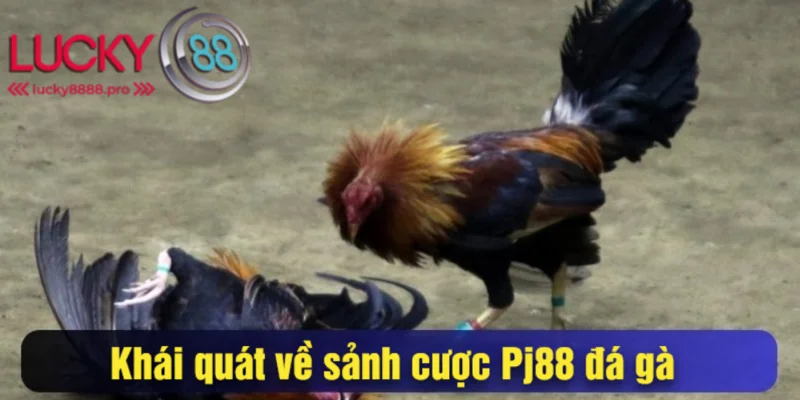 Điểm đến hàng đầu của các kê thủ trong năm 2025