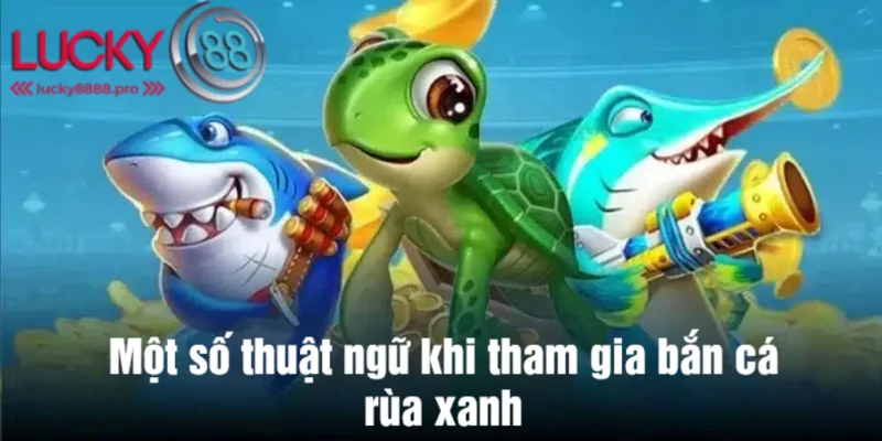 Thuật ngữ quan trọng hội viên cần nắm để tham gia