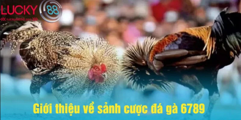 Sảnh cược hứa hẹn bùng nổ trên thị trường năm 2025