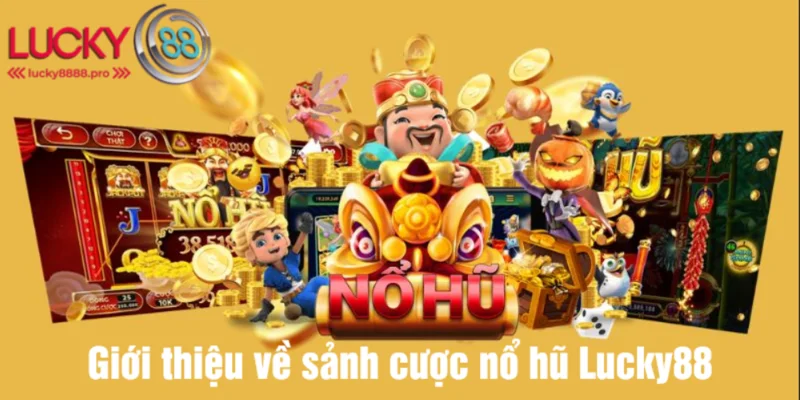 Sảnh đấu được hội viên đánh giá 5 sao về dịch vụ