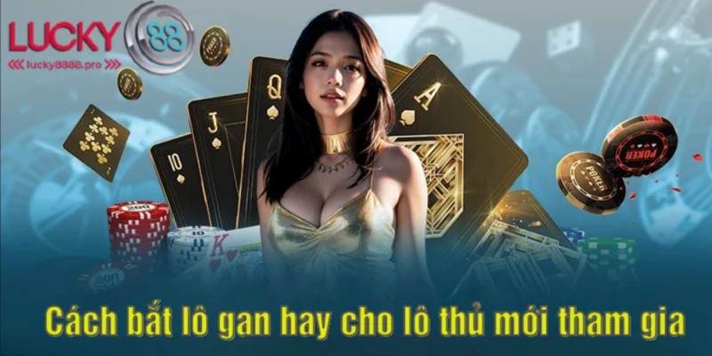 Top 4 cách bắt lô gan hay và dễ áp dụng nhất